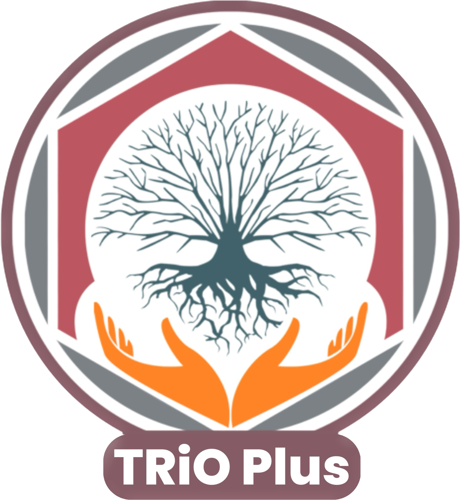 TrioPlus